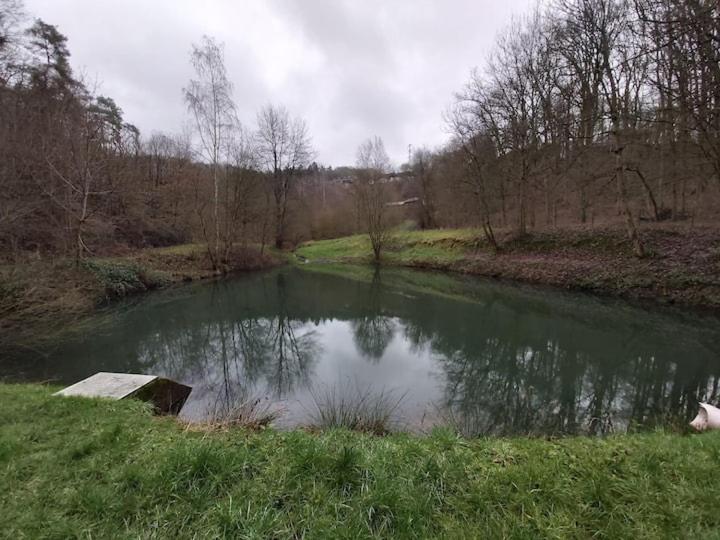 Chalet Ardennais 240 - La Boverie - Rendeux Exteriér fotografie